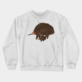 Echidna Crewneck Sweatshirt